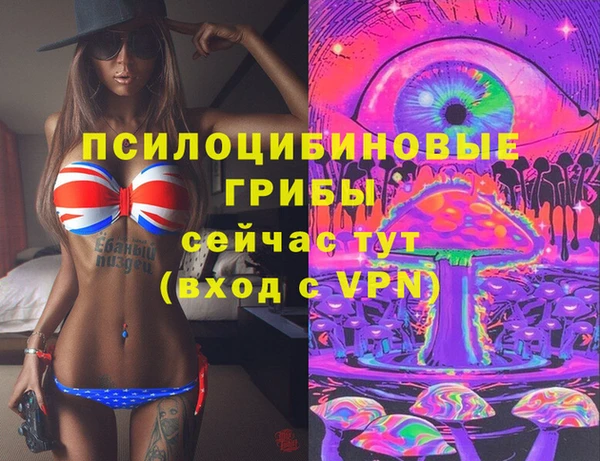 хмурый Покров