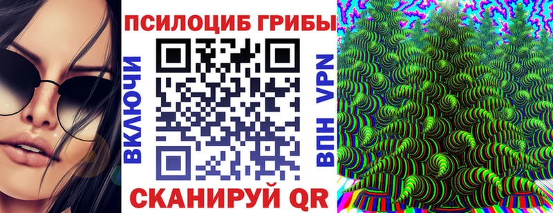 Псилоцибиновые грибы Psilocybe где продают OMG ССЫЛКА Завитинск